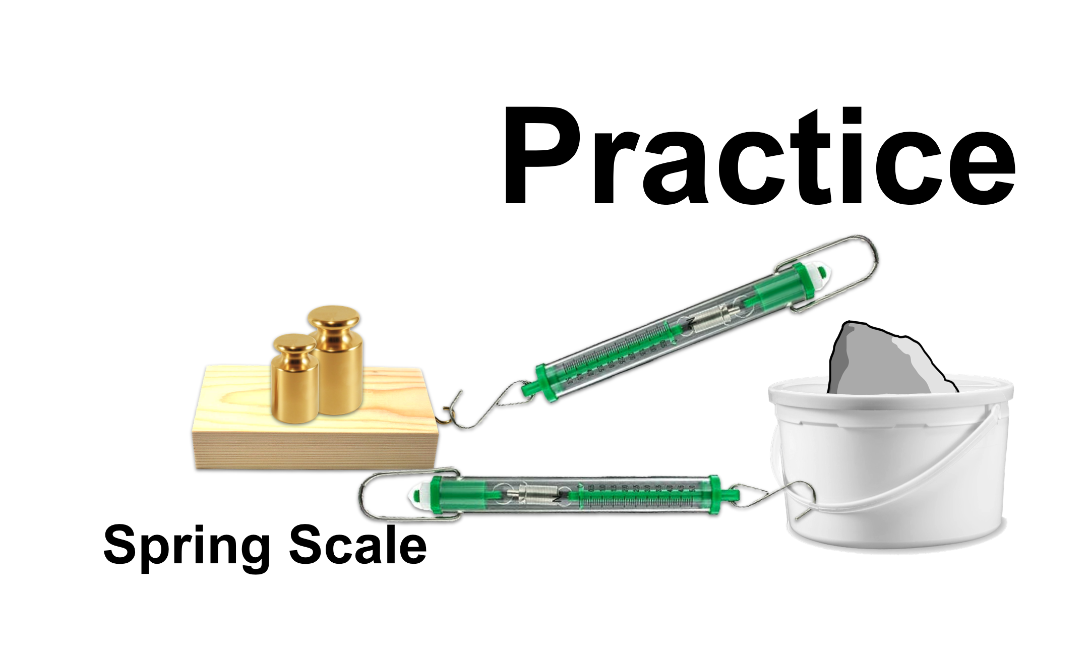Spring Scale Practice Lablearner Metriclab
